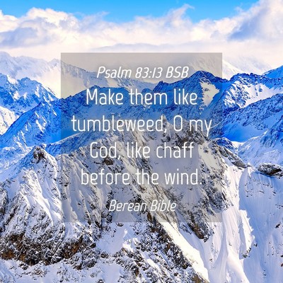 Picture 04 - Psalm 83:13 BSB - Make them like tumbleweed, O my God, like chaff - Bible Verse Picture