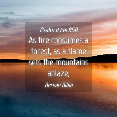 Picture 04 - Psalm 83:14 BSB - As fire consumes a forest, as a flame sets the - Bible Verse Picture