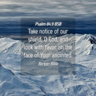 Picture 04 - Psalm 84:9 BSB - Take notice of our shield, O God, and look with - Bible Verse Picture