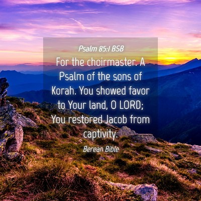 Picture 04 - Psalm 85:1 BSB - For the choirmaster. A Psalm of the sons of - Bible Verse Picture
