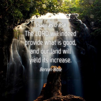 Picture 04 - Psalm 85:12 BSB - The LORD will indeed provide what is good, and - Bible Verse Picture
