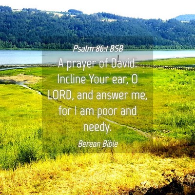Picture 04 - Psalm 86:1 BSB - A prayer of David. Incline Your ear, O LORD, and - Bible Verse Picture