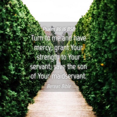 Picture 04 - Psalm 86:16 BSB - Turn to me and have mercy; grant Your strength to - Bible Verse Picture