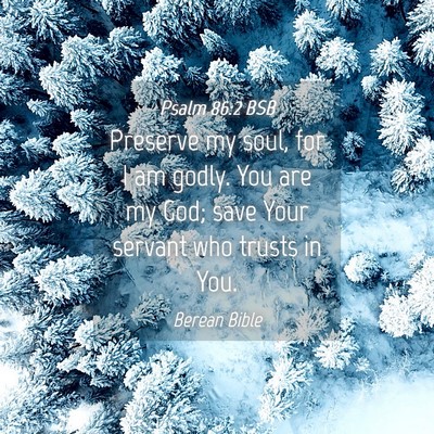 Picture 04 - Psalm 86:2 BSB - Preserve my soul, for I am godly. You are my God; - Bible Verse Picture
