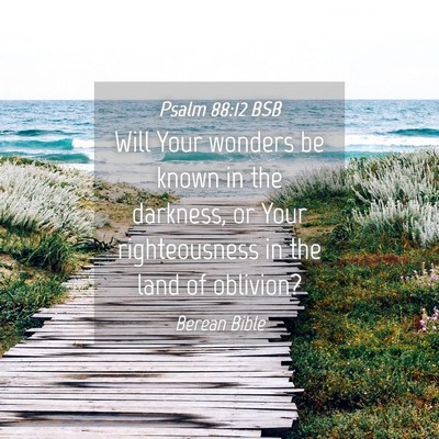 Picture 04 - Psalm 88:12 BSB - Will Your wonders be known in the darkness, or - Bible Verse Picture