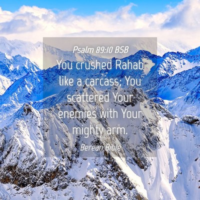 Picture 04 - Psalm 89:10 BSB - You crushed Rahab like a carcass; You scattered - Bible Verse Picture