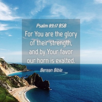Picture 04 - Psalm 89:17 BSB - For You are the glory of their strength, and by - Bible Verse Picture