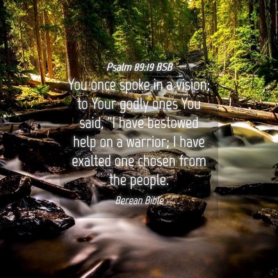 Picture 04 - Psalm 89:19 BSB - You once spoke in a vision; to Your godly ones - Bible Verse Picture