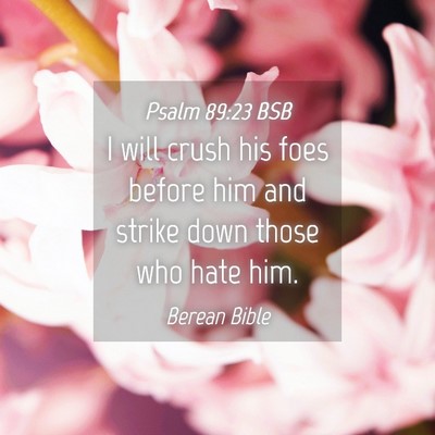 Picture 04 - Psalm 89:23 BSB - I will crush his foes before him and strike down - Bible Verse Picture