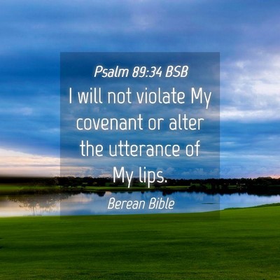 Picture 04 - Psalm 89:34 BSB - I will not violate My covenant or alter the - Bible Verse Picture