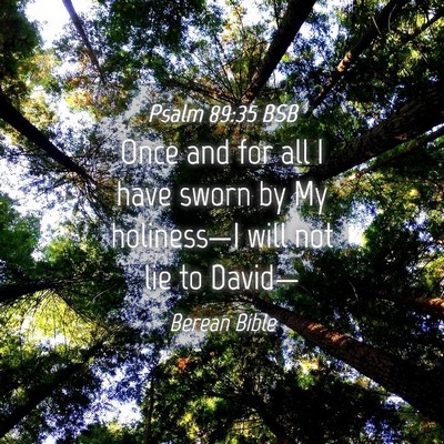 Picture 04 - Psalm 89:35 BSB - Once and for all I have sworn by My holiness—I - Bible Verse Picture