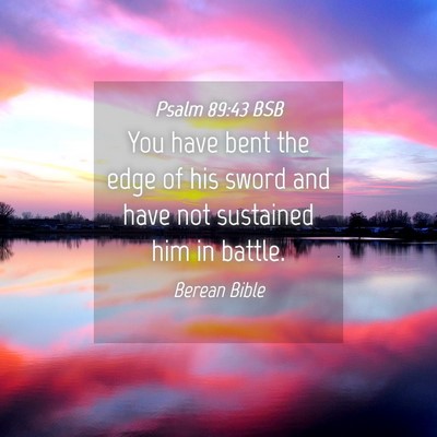 Picture 04 - Psalm 89:43 BSB - You have bent the edge of his sword and have not - Bible Verse Picture
