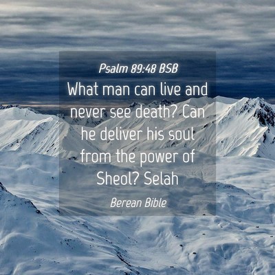 Picture 04 - Psalm 89:48 BSB - What man can live and never see death? Can he - Bible Verse Picture