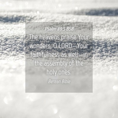 Picture 04 - Psalm 89:5 BSB - The heavens praise Your wonders, O LORD—Your - Bible Verse Picture