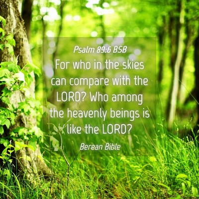 Picture 04 - Psalm 89:6 BSB - For who in the skies can compare with the LORD? - Bible Verse Picture