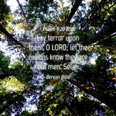 Picture 04 - Psalm 9:20 BSB - Lay terror upon them, O LORD; let the nations - Bible Verse Picture