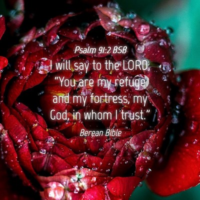 Picture 04 - Psalm 91:2 BSB - I will say to the LORD, “You are my refuge and - Bible Verse Picture