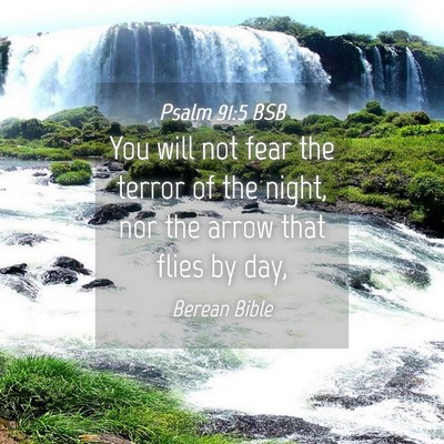 Picture 04 - Psalm 91:5 BSB - You will not fear the terror of the night, nor - Bible Verse Picture
