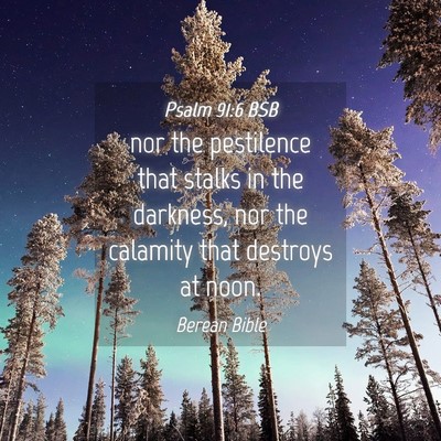 Picture 04 - Psalm 91:6 BSB - nor the pestilence that stalks in the darkness, - Bible Verse Picture