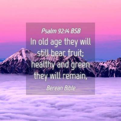 Picture 04 - Psalm 92:14 BSB - In old age they will still bear fruit; healthy - Bible Verse Picture