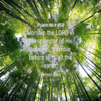 Picture 04 - Psalm 96:9 BSB - Worship the LORD in the splendor of His holiness; - Bible Verse Picture