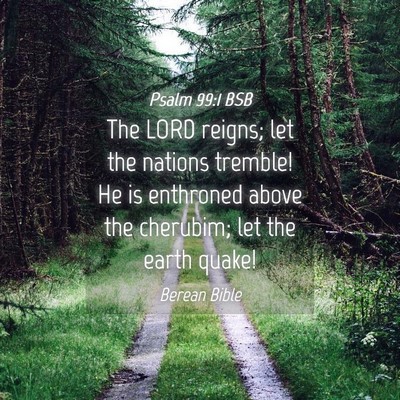 Picture 04 - Psalm 99:1 BSB - The LORD reigns; let the nations tremble! He is - Bible Verse Picture