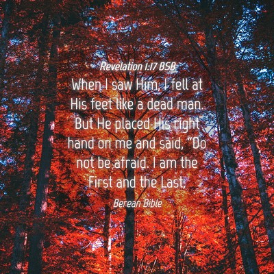 Picture 04 - Revelation 1:17 BSB - When I saw Him, I fell at His feet like a dead - Bible Verse Picture
