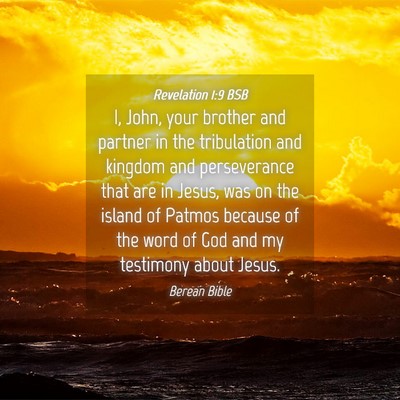 Picture 04 - Revelation 1:9 BSB - I, John, your brother and partner in the - Bible Verse Picture