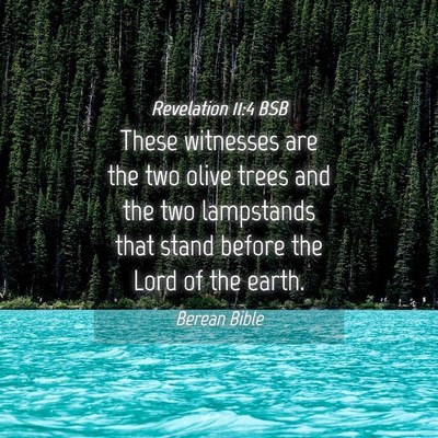 Picture 04 - Revelation 11:4 BSB - These witnesses are the two olive trees and the - Bible Verse Picture
