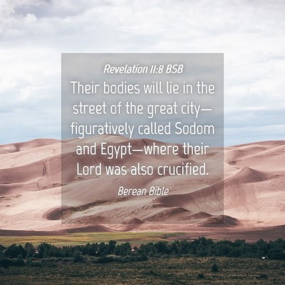 Picture 04 - Revelation 11:8 BSB - Their bodies will lie in the street of the great - Bible Verse Picture