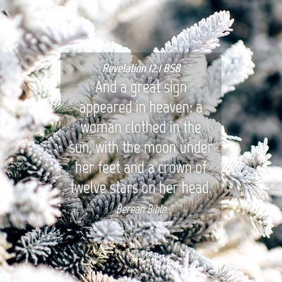 Picture 04 - Revelation 12:1 BSB - And a great sign appeared in heaven: a woman - Bible Verse Picture