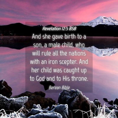 Picture 04 - Revelation 12:5 BSB - And she gave birth to a son, a male child, who - Bible Verse Picture