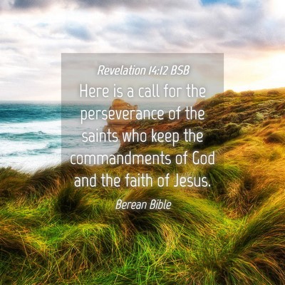 Picture 04 - Revelation 14:12 BSB - Here is a call for the perseverance of the saints - Bible Verse Picture