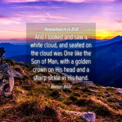 Picture 04 - Revelation 14:14 BSB - And I looked and saw a white cloud, and seated on - Bible Verse Picture