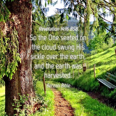 Picture 04 - Revelation 14:16 BSB - So the One seated on the cloud swung His sickle - Bible Verse Picture