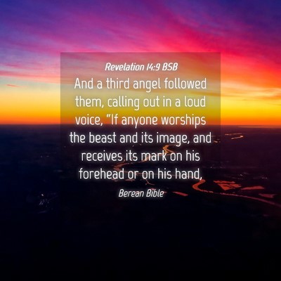 Picture 04 - Revelation 14:9 BSB - And a third angel followed them, calling out in a - Bible Verse Picture