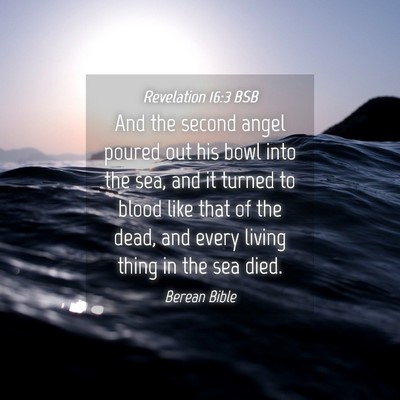 Picture 04 - Revelation 16:3 BSB - And the second angel poured out his bowl into the - Bible Verse Picture