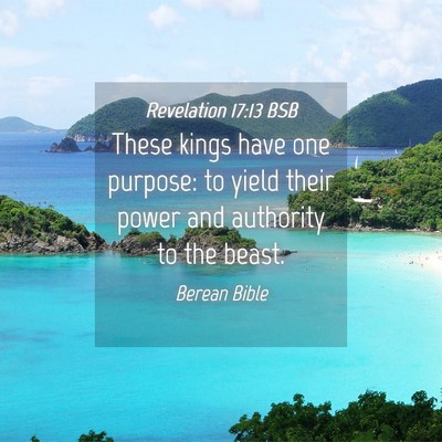 Picture 04 - Revelation 17:13 BSB - These kings have one purpose: to yield their - Bible Verse Picture
