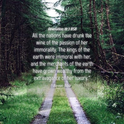 Picture 04 - Revelation 18:3 BSB - All the nations have drunk the wine of the - Bible Verse Picture