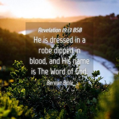 Picture 04 - Revelation 19:13 BSB - He is dressed in a robe dipped in blood, and His - Bible Verse Picture