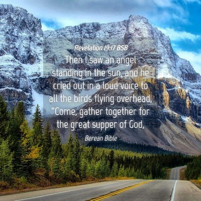 Picture 04 - Revelation 19:17 BSB - Then I saw an angel standing in the sun, and he - Bible Verse Picture