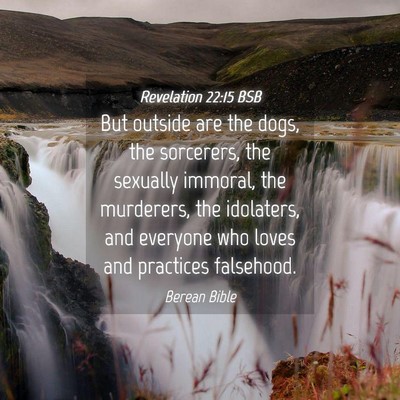 Picture 04 - Revelation 22:15 BSB - But outside are the dogs, the sorcerers, the - Bible Verse Picture