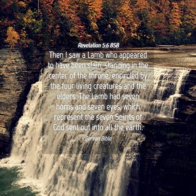 Picture 04 - Revelation 5:6 BSB - Then I saw a Lamb who appeared to have been - Bible Verse Picture