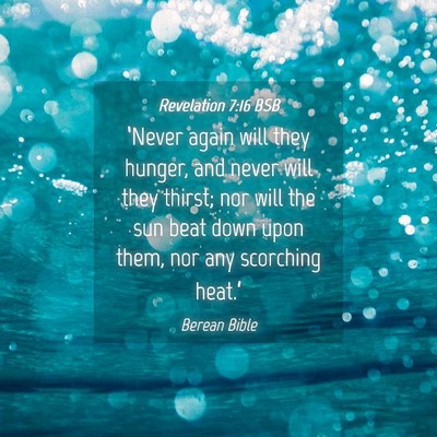 Picture 04 - Revelation 7:16 BSB - ‘Never again will they hunger, and never will - Bible Verse Picture