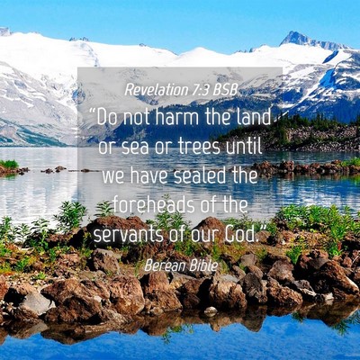 Picture 04 - Revelation 7:3 BSB - “Do not harm the land or sea or trees until we - Bible Verse Picture
