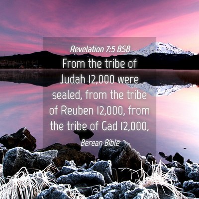 Picture 04 - Revelation 7:5 BSB - From the tribe of Judah 12,000 were sealed, from - Bible Verse Picture