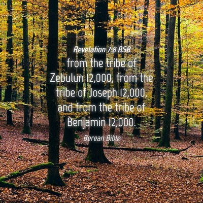 Picture 04 - Revelation 7:8 BSB - from the tribe of Zebulun 12,000, from the tribe - Bible Verse Picture