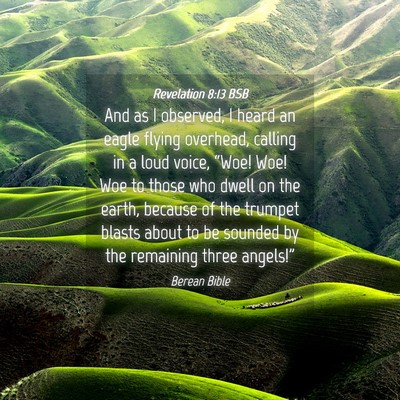 Picture 04 - Revelation 8:13 BSB - And as I observed, I heard an eagle flying - Bible Verse Picture
