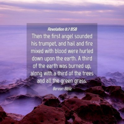 Picture 04 - Revelation 8:7 BSB - Then the first angel sounded his trumpet, and - Bible Verse Picture