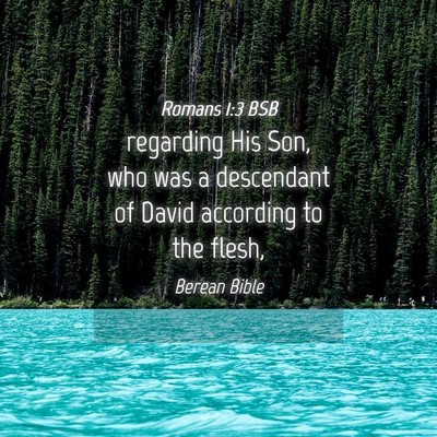 Picture 04 - Romans 1:3 BSB - regarding His Son, who was a descendant of David - Bible Verse Picture